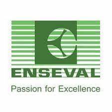 PT Enseval Putera Megatrading Tbk
