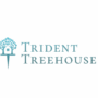 PT Trident Treehouse Consultancy Logo
